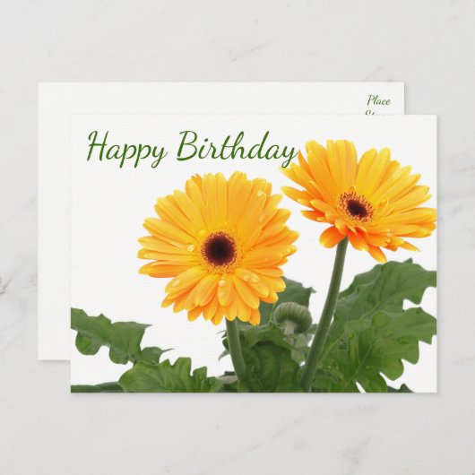 Happy Birthday Gerbera Daisy Orange Green Blume Postkarte (Vorne/Hinten)