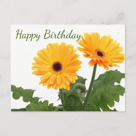 Happy Birthday Gerbera Daisy Orange Green Blume Postkarte (Vorderseite)