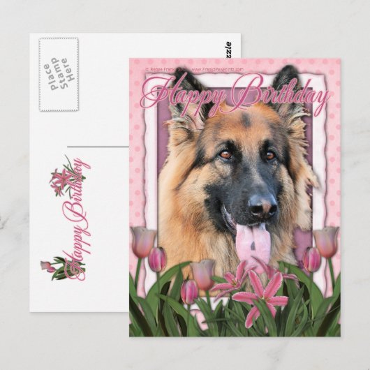 Happy Birthday - German Shepherd - Long haarig Postkarte (Vorne/Hinten)