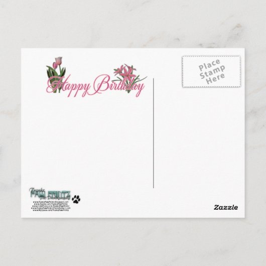 Happy Birthday - German Shepherd - Long haarig Postkarte (Rückseite)