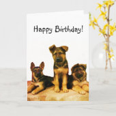 Happy Birthday German Shepherd puppies card Karte (Gelbe Blume)