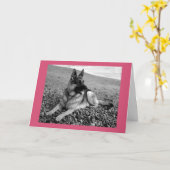 Happy Birthday German Shepherd Puppy Dog Card Karte (Gelbe Blume)