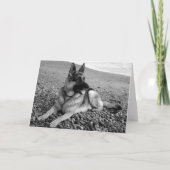 Happy Birthday German Shepherd Puppy Dog Card Karte (Rückseite)