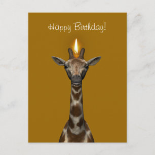 Happy Birthday Giraffe Postkarte