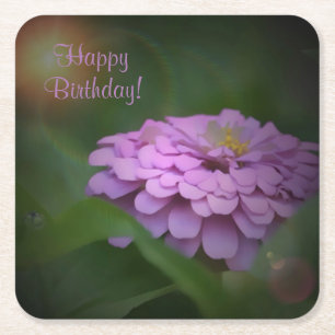 Happy Birthday Glows Zinnia Paper Untersetzer