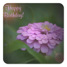 Happy Birthday Glows Zinnia Square Sticker