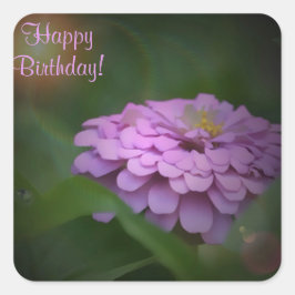 Happy Birthday Glows Zinnia Square Sticker