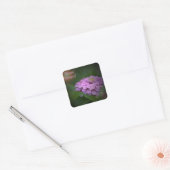 Happy Birthday Glows Zinnia Square Sticker (Umschlag)
