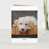 Happy Birthday Golden Doodle Puppy Karte (Rückseite)
