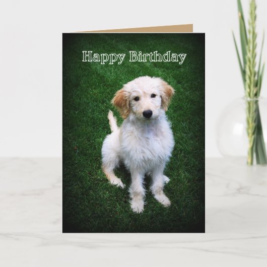 Happy Birthday Golden Doodle Puppy Karte (Vorderseite)