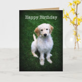 Happy Birthday Golden Doodle Puppy Karte (Gelbe Blume)