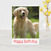 Happy Birthday Golden Retriever Puppy Card Karte (Gelbe Blume)