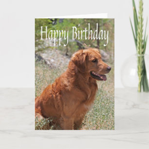 Happy Birthday Golden Retriever Puppy Dog Karte