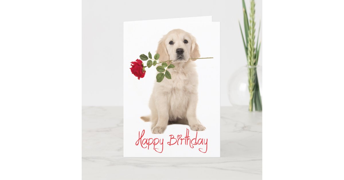 Happy Birthday Golden Retriever Puppy Hund Card Karte Zazzle.de