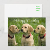 Happy Birthday Golden Retriever Welpen Postkarte (Vorne/Hinten)