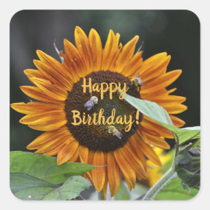 Happy Birthday Golden Sunflower Quadratischer Aufkleber