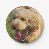 Happy Birthday Goldendoodle Dog Pappteller (Vorderseite)