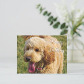 Happy Birthday Goldendoodle Dog Postkarte (Stehend Vorderseite)