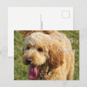 Happy Birthday Goldendoodle Dog Postkarte (Vorne/Hinten)