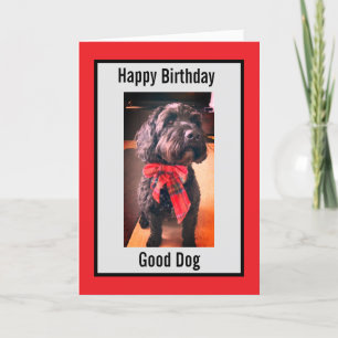 Happy Birthday good dog card Feiertagskarte