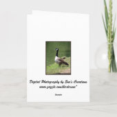 Happy Birthday Goose Karte (Rückseite)