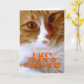 Happy Birthday Grandtochter - Sweet Cat Karte (Gelbe Blume)