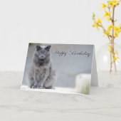 Happy Birthday Gray Cat Karte (Gelbe Blume)