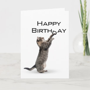 Happy Birthday Gray Tabby Cat Karte