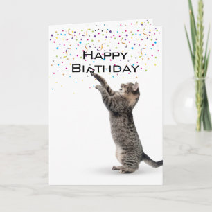 Happy Birthday Gray Tabby Cat Karte