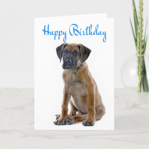 Happy Birthday Great Dane Puppy Dog Card - Verse Karte