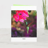 Happy Birthday Green throated Carib Hummingbird Karte (Rückseite)