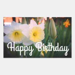 Happy Birthday Groß gehackte Daffodil Stickers