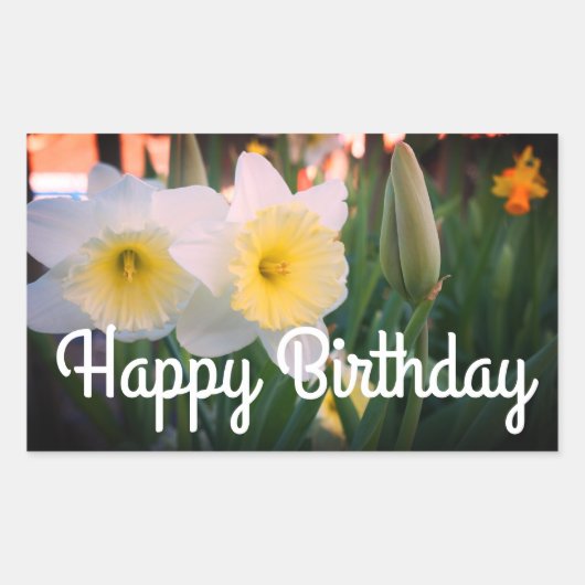 Happy Birthday Groß gehackte Daffodil Stickers (Vorderseite)
