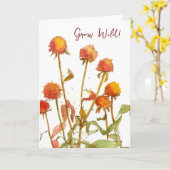 Happy Birthday Grow Wild Pflanze Orange Wildblumen Karte (Gelbe Blume)