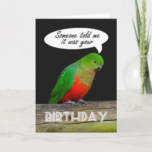 Happy Birthday grün und rot King Parrot Karte