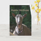 Happy Birthday Handsome Old Goat Karte (Gelbe Blume)