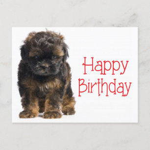 Happy Birthday Havanese Puppy Dog Postkarte