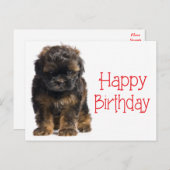 Happy Birthday Havanese Puppy Dog Postkarte (Vorne/Hinten)
