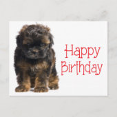 Happy Birthday Havanese Puppy Dog Postkarte (Vorderseite)