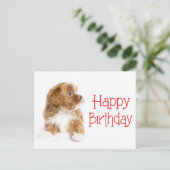 Happy Birthday Havanese Puppy Dog Postkarte (Stehend Vorderseite)