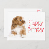 Happy Birthday Havanese Puppy Dog Postkarte (Vorne/Hinten)