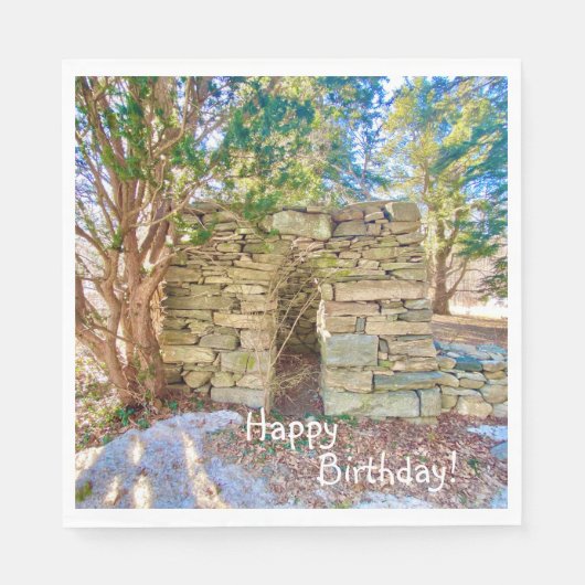 Happy Birthday History Buff Serviette (Vorderseite)