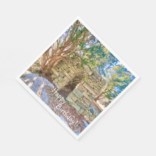 Happy Birthday History Buff Serviette (Ecke)