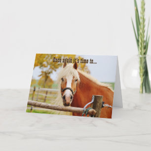 Happy Birthday Horse Karte