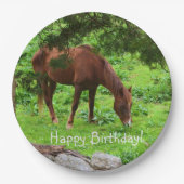 Happy Birthday Horse Pappteller (Vorderseite)