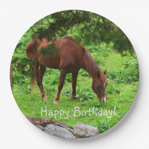 Happy Birthday Horse Pappteller