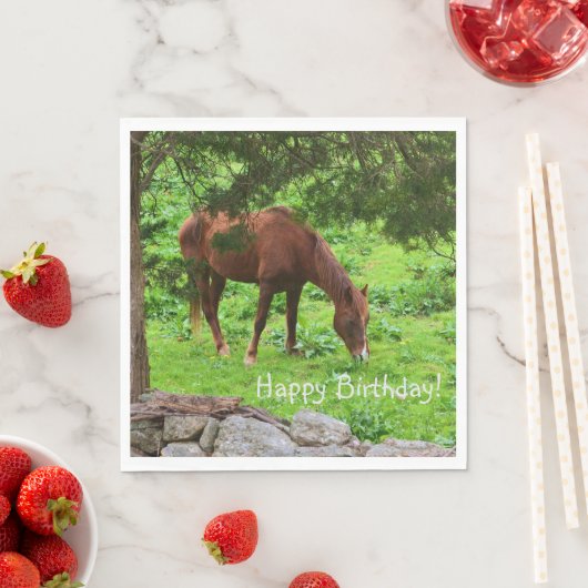 Happy Birthday Horse Serviette (Beispiel)