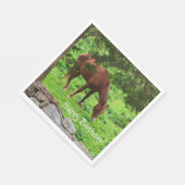 Happy Birthday Horse Serviette (Ecke)