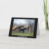 Happy Birthday Horses Karte (Rückseite)