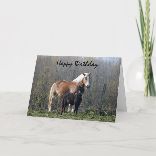 Happy Birthday Horses Karte (Vorderseite)